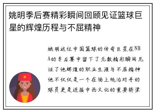 姚明季后赛精彩瞬间回顾见证篮球巨星的辉煌历程与不屈精神